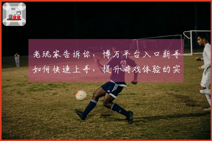 老玩家告诉你，博万平台入口新手如何快速上手，提升游戏体验的实用技巧